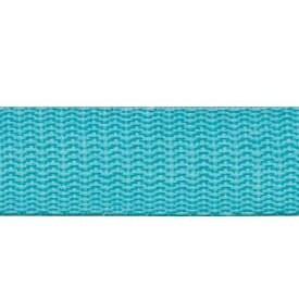 1&quot; Polypro Webbing- Aqua