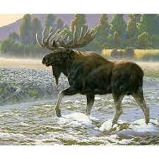 Natures Finest Panel - Moose
