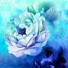 Royal Beauty Digital Panel