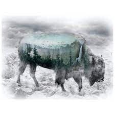 Call of the Wild - Bison Fog Panel