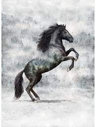 Call of the Wild - Dark Horse Panel