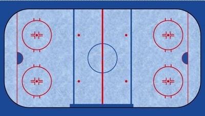 Hockey Ice Rink Panel