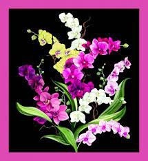 Orchid Fancy Panel