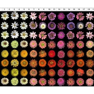 Flower Power - Multi