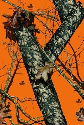Mossy Oak - Breakup Winter - Orange