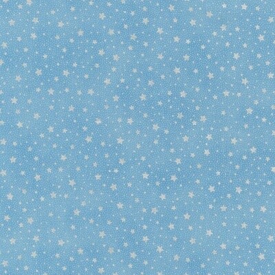 Holiday Flourish - Blue with Silver Stars