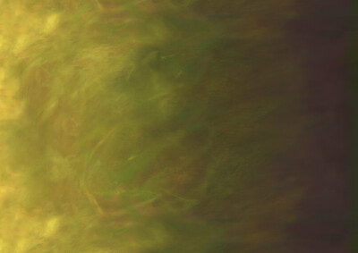 Jennifer Sampou - Sky - Pistachio