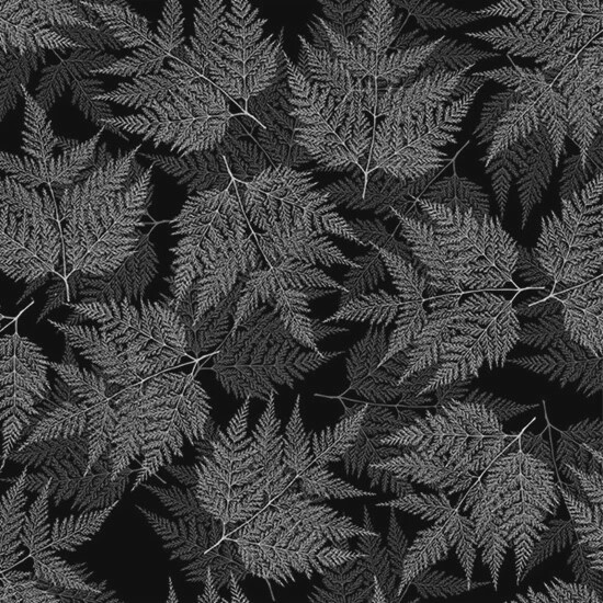 Sparkle And Fade - Black/Silver