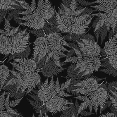 Sparkle And Fade - Black/Silver