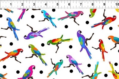 Colorful - Jason Yenter - Parrots