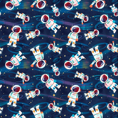 Navy Astronauts