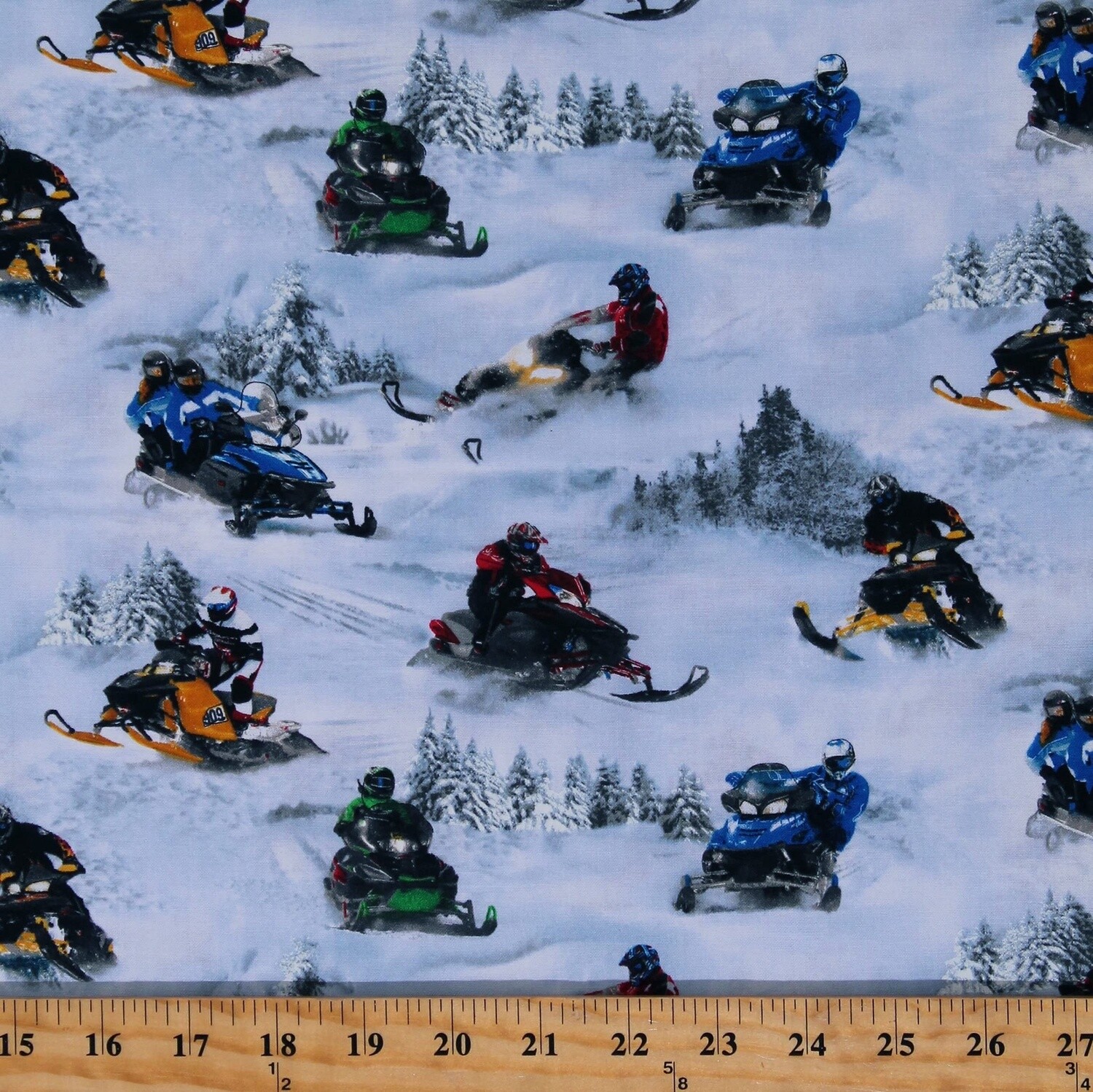 In Motion - Snowmobiles