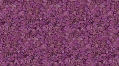 Midas Touch - Plum 2