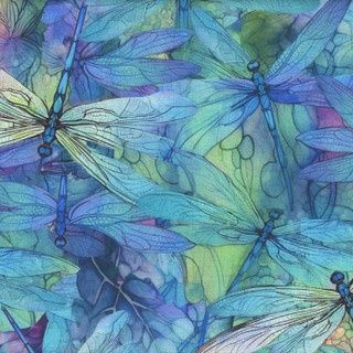 Dragonfly Illusion - Dragonfly Dream