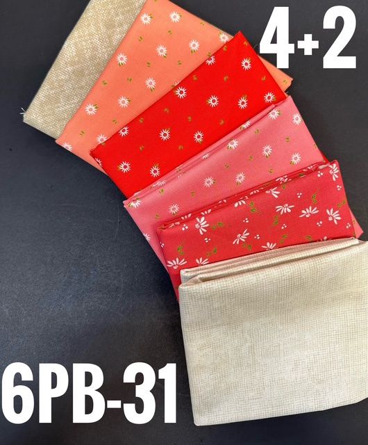 6 Pack Party Bundle - 4+2 - 6PB-31