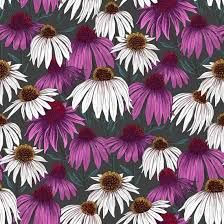 Flower Market - Enchinacea - Dark Grey
