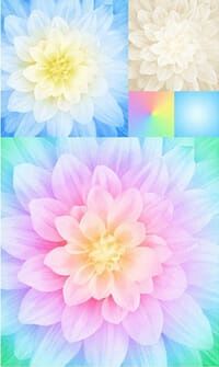 Kablooms Digital Print - Aurora