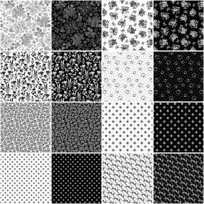 Monochromatic - Black and White