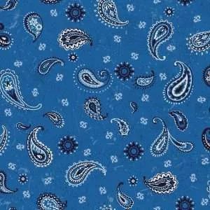 Round Up - Bandana - Blue