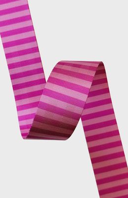 2" Nylon Webbing - Pink Stripe