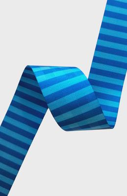 2" Nylon Webbing - Blue Stripe