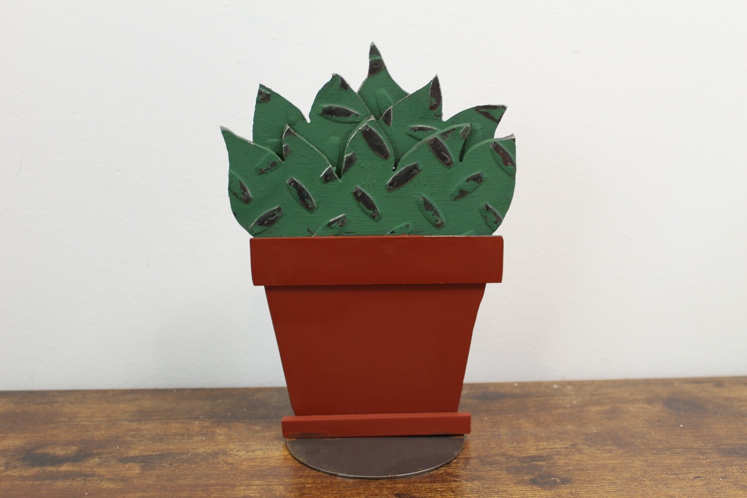 Cactus in Pot