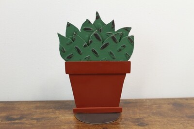Cactus in Pot