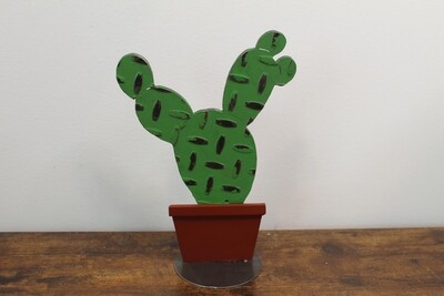 Cactus in Pot