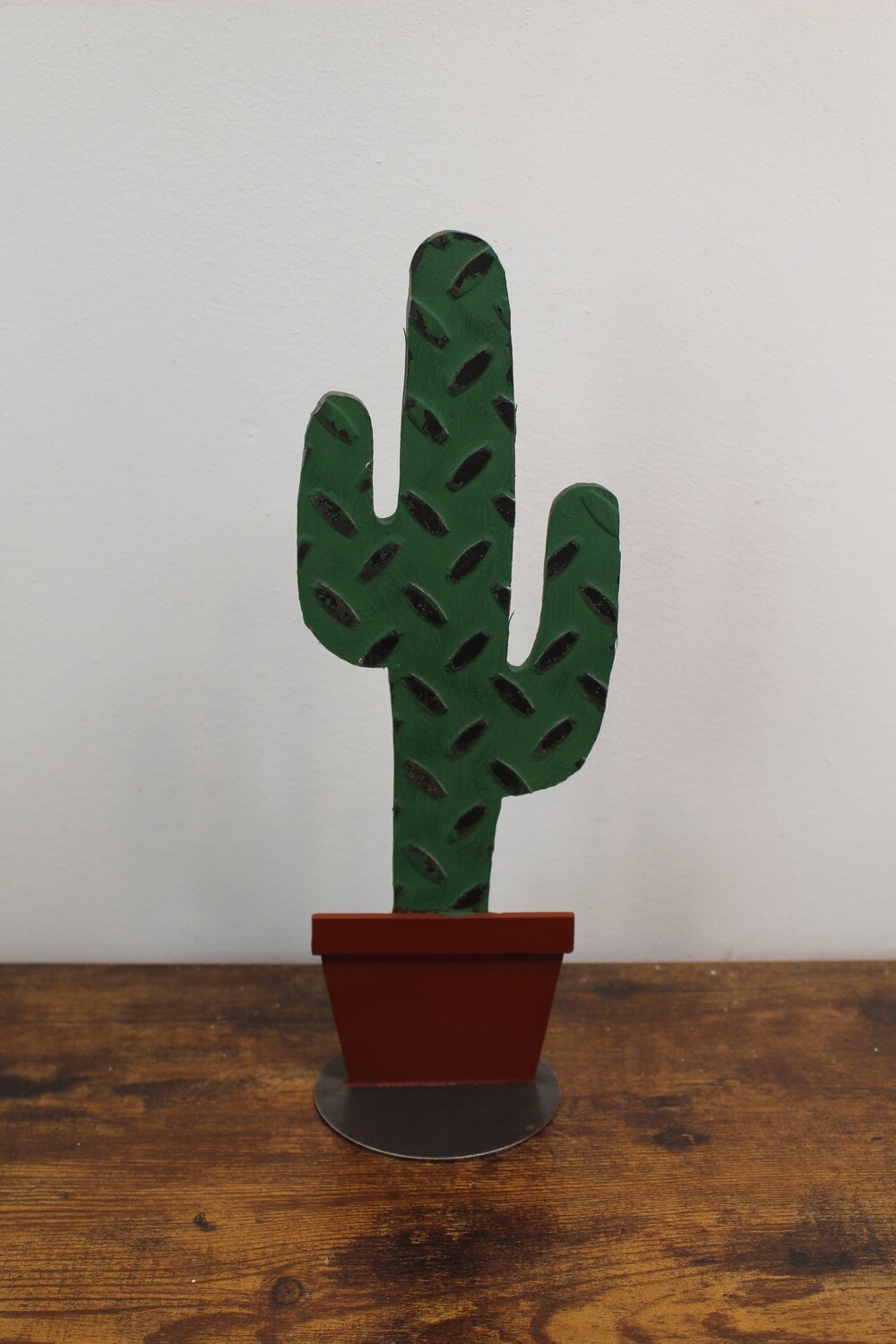 Cactus in Pot