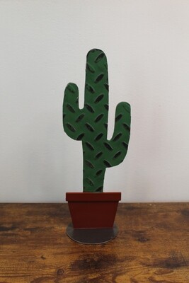 Cactus in Pot