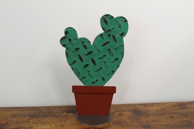 Cactus in Pot