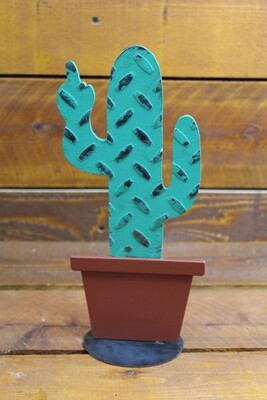 Cactus in Pot (fuculant)