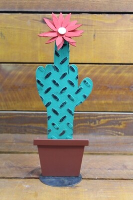Cactus in Pot (middle finger) with flower