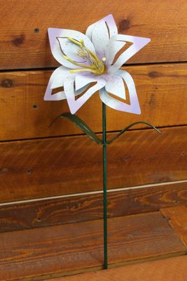 Light purple Lily