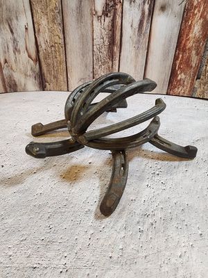 Horseshoe Turtle
