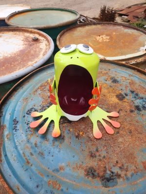 Coleman propane tank frog plantee