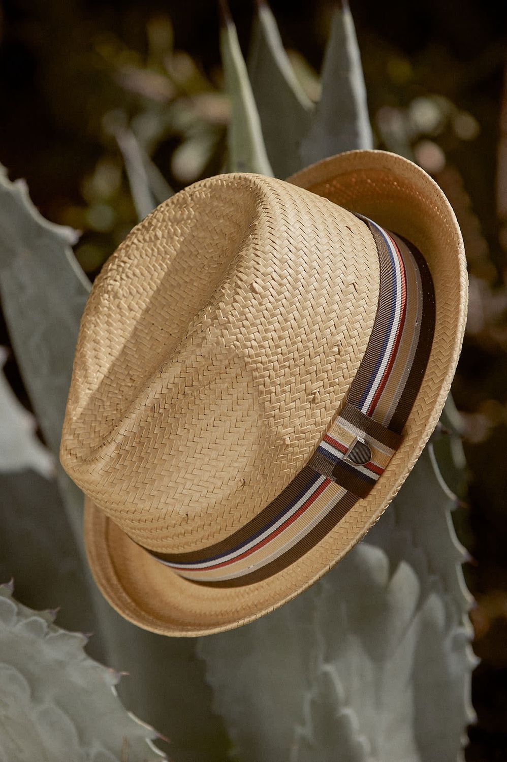Castor Fedora | Unisex