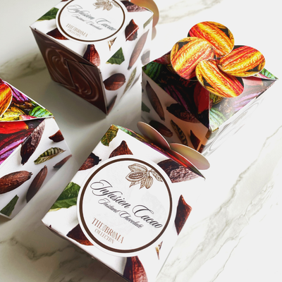 Boite de 10 infusions Cacao Nature