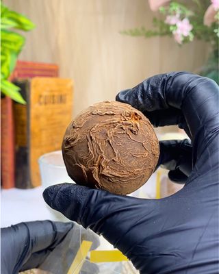 BOMBE CHOCOLAT CHAUD NOIR CANNELLE