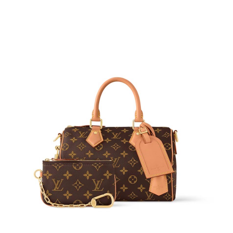 Brown Speedy Bag