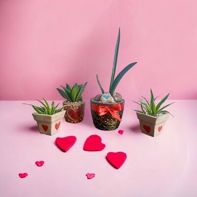 Valantine Gift Pack