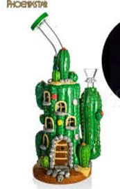 The Cactus House