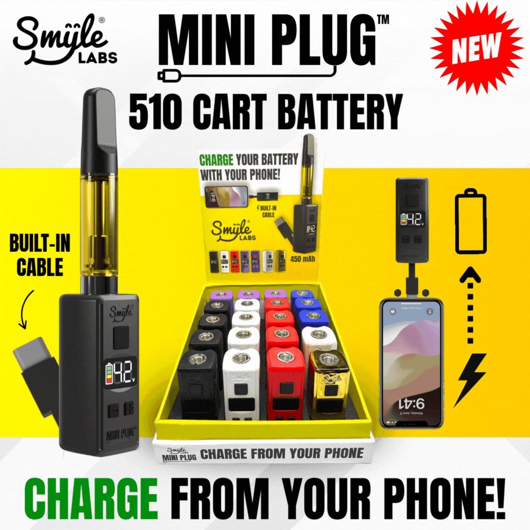 Smyle Labs Mini Cart Battery