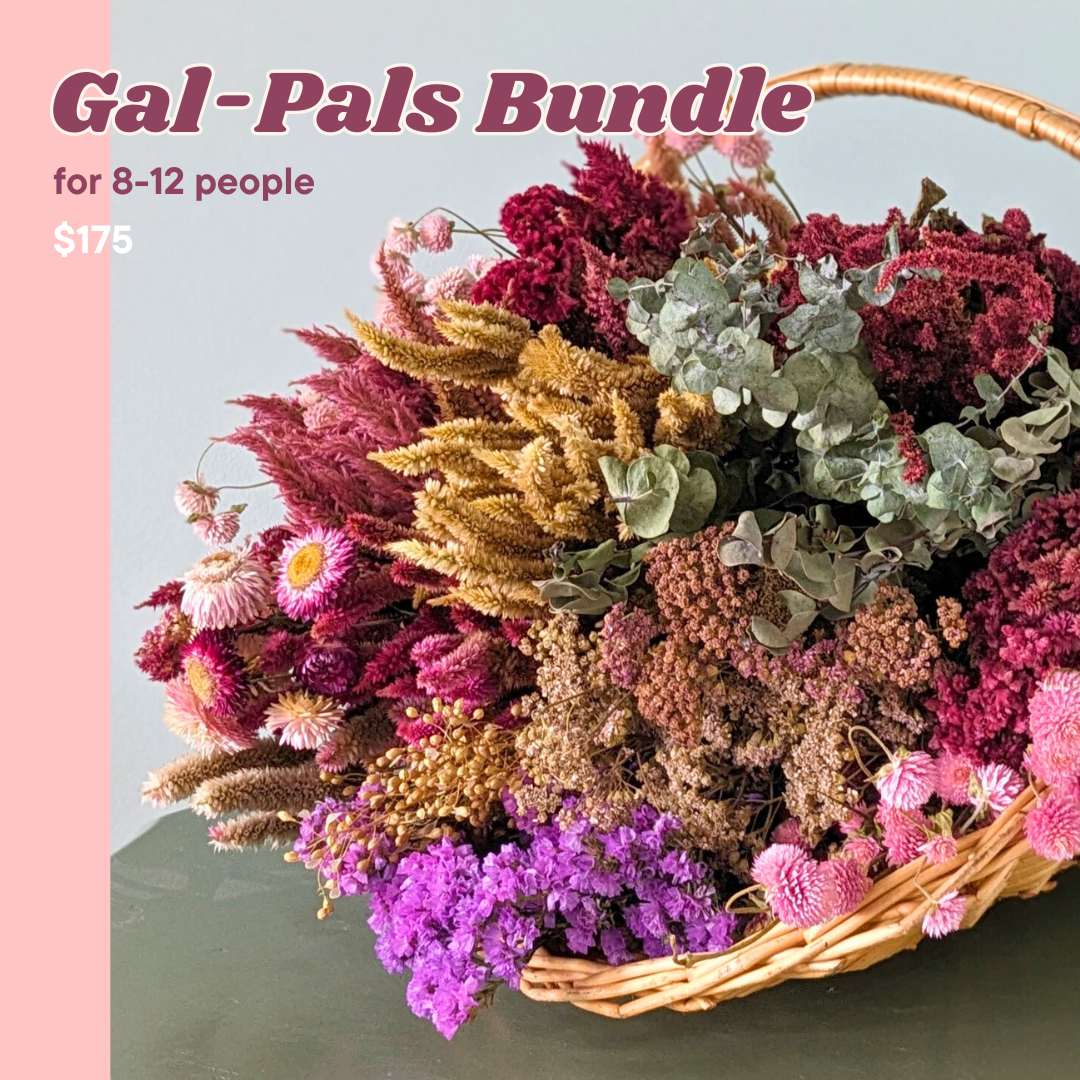 Gal Pals Dried Flower Bundle (8-12 people)