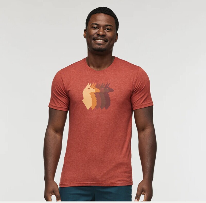 Llama Sequence T-Shirt