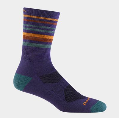 Darn Tough Fastpack Light Cushion - Blackberry