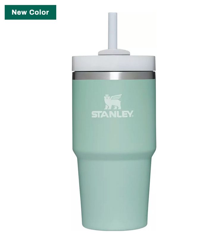 Stanley Quencher H2.O FlowState™ Tumbler 20oz in Seafoam