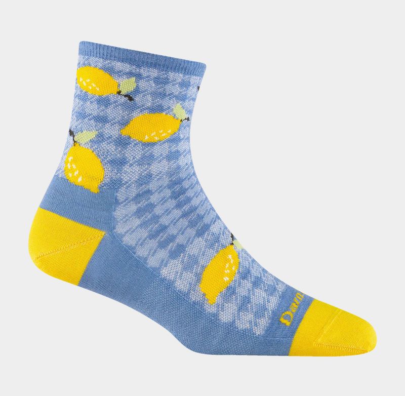 Darn Tough Fruit Stand Shorty Lightweight