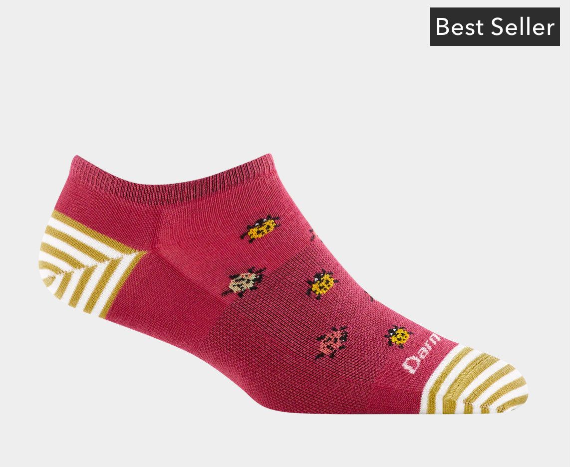 Darn Tough Lucky Lady No Show Lightweight Sock