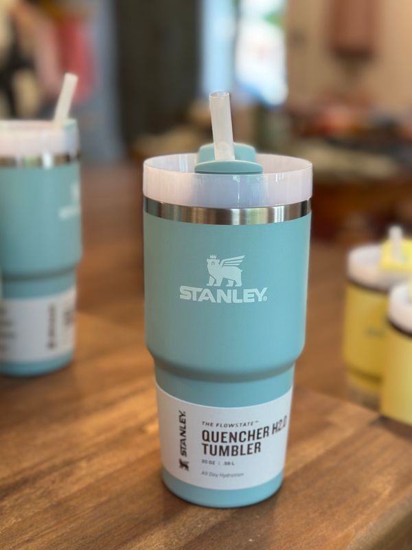 The Quencher H2.O FlowState™ Tumbler 20oz in Seafoam